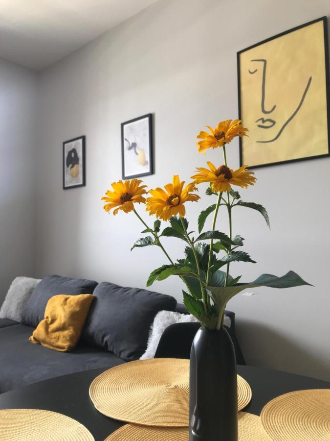 Apartament No82 Yellow Holiday Home Zator Extérieur photo